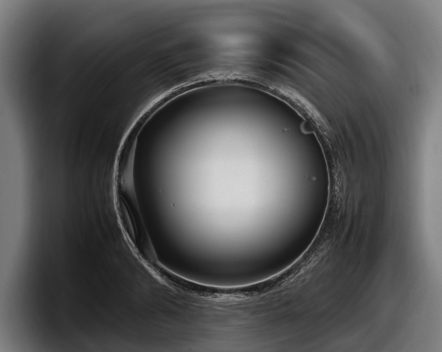 X0000097820894200803201435