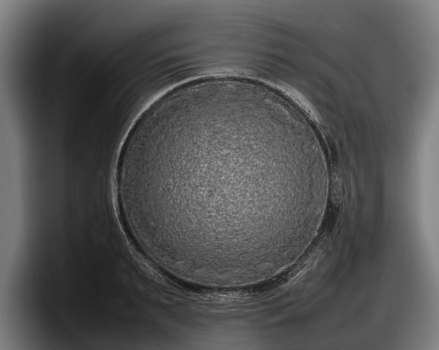 X0000097820895200803201435