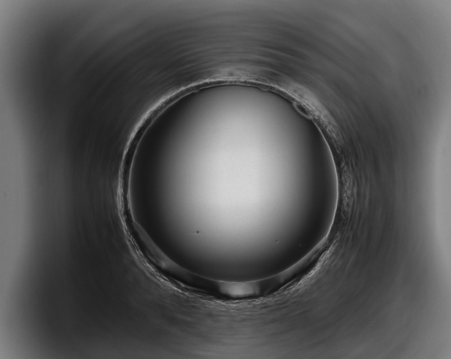 X0000097820896200803201435