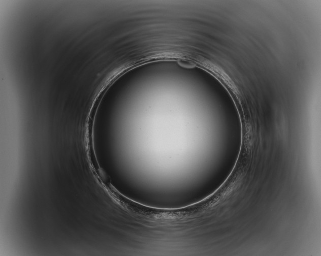 X0000097820898200803201435