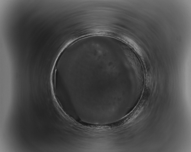 X0000097820899200803201435