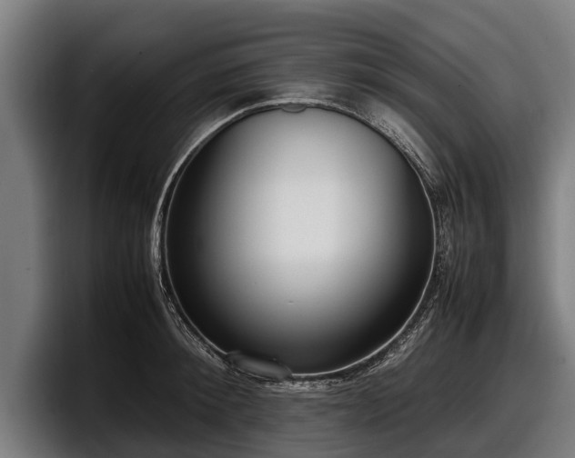 X0000097820900200803201435