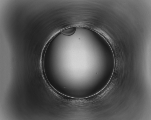 X0000097820902200803201435