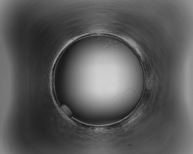 X0000097820903200803201435