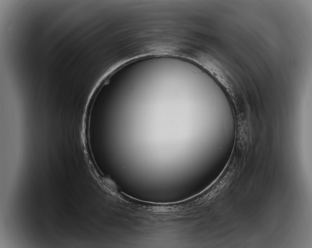 X0000097820904200803201435