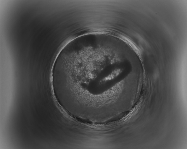 X0000097820907200803201435