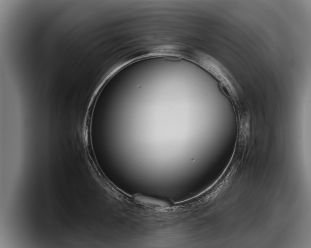 X0000097820908200803201435