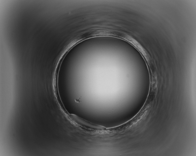 X0000097820909200803201435