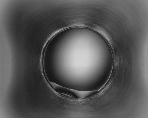 X0000097820910200803201435