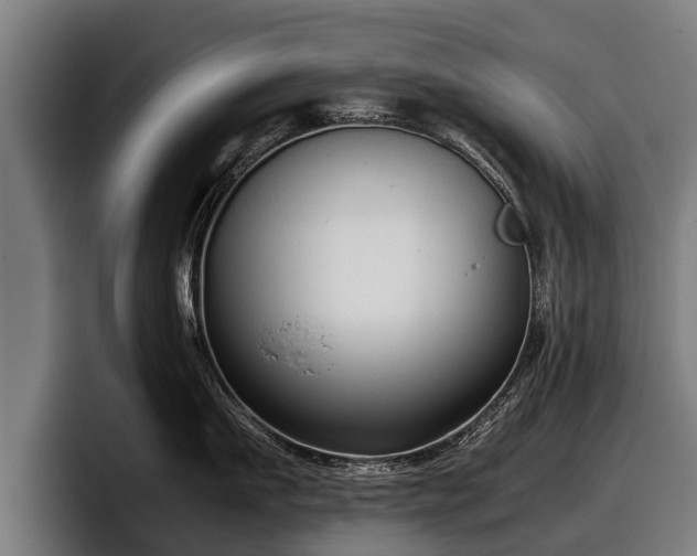 X0000097820911200803201435