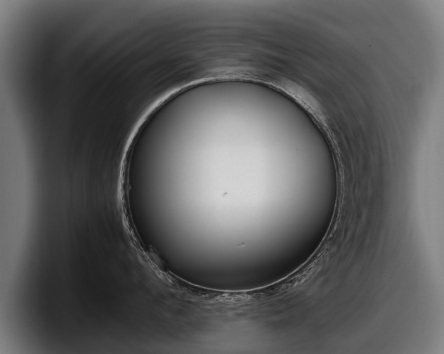 X0000097820912200803201435