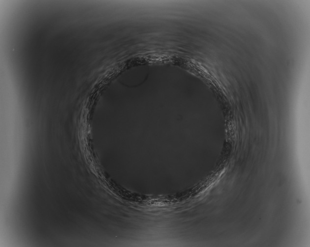 X0000097820913200803201434