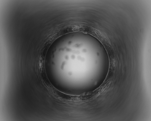 X0000097820914200803201434