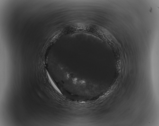 X0000097820916200803201434