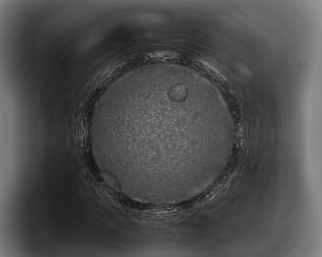 X0000097820917200803201434