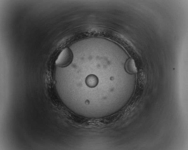 X0000097820918200803201434