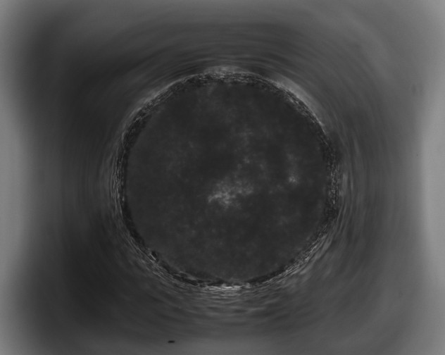 X0000097820919200803201434