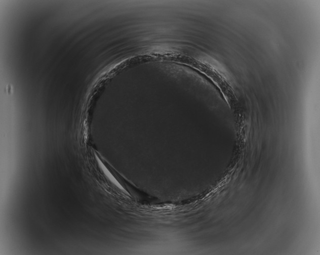 X0000097820920200803201434