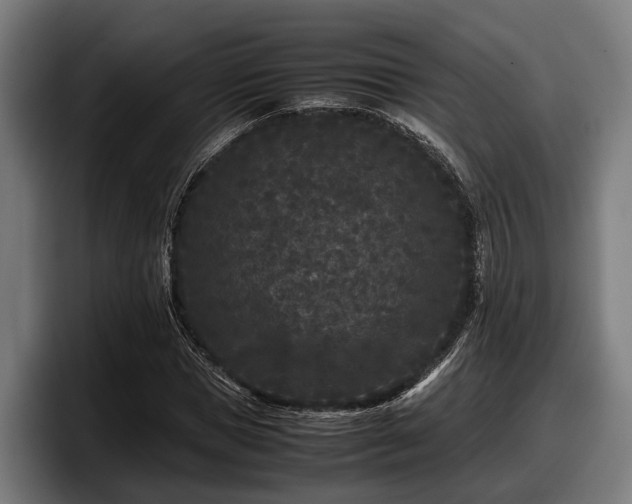 X0000097820921200803201434