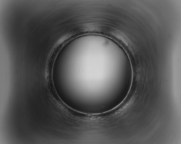 X0000097820922200803201434