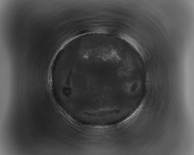 X0000097820923200803201434