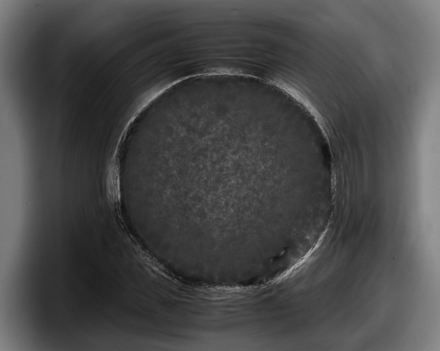 X0000097820925200803201434