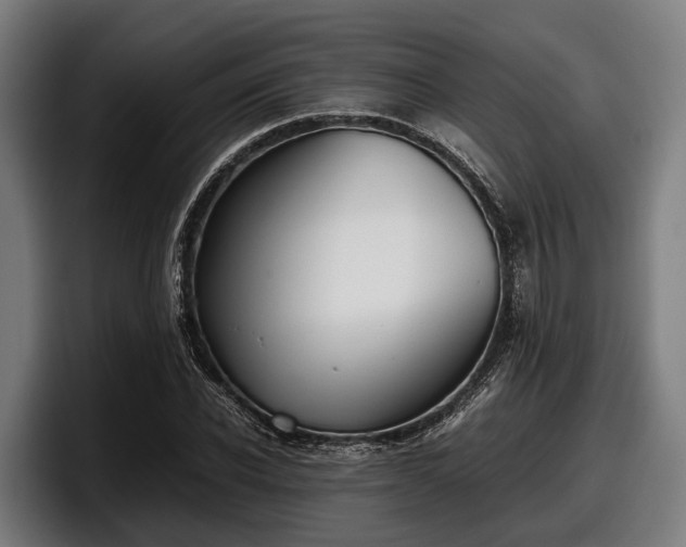 X0000097820926200803201434