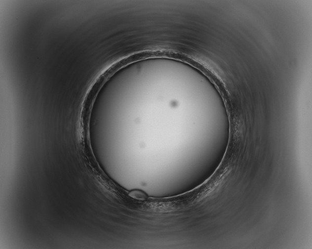 X0000097820927200803201434