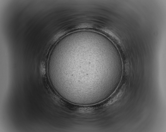 X0000097820929200803201434