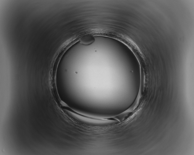 X0000097820930200803201434