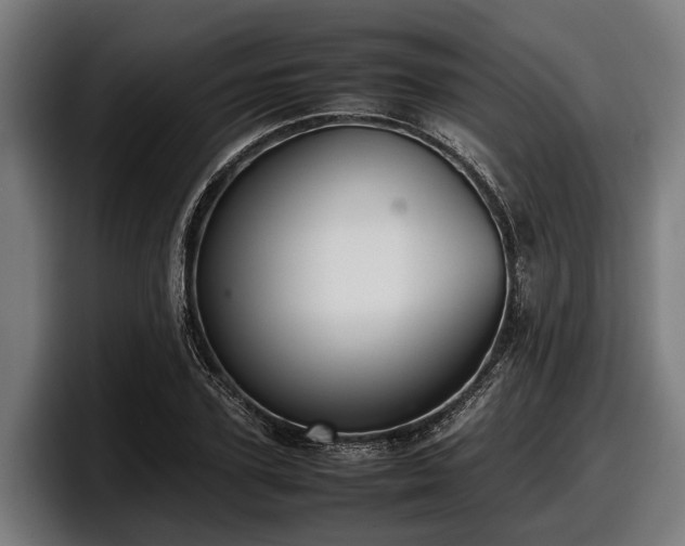 X0000097820931200803201434