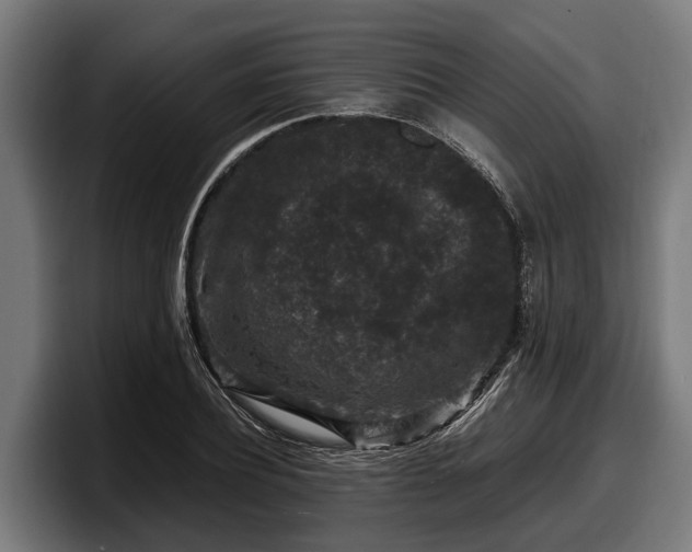 X0000097820932200803201434