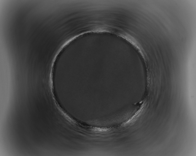 X0000097820935200803201434