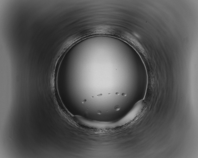 X0000097820938200803201434