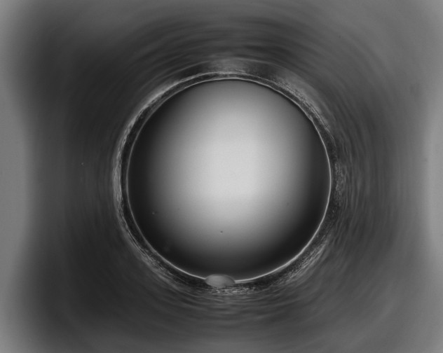 X0000097820939200803201435