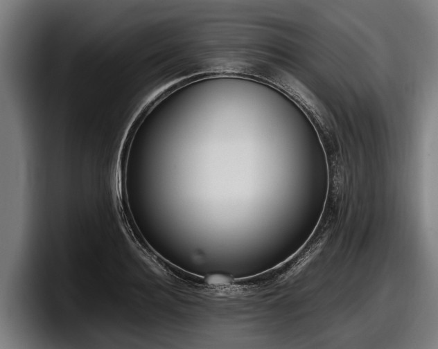 X0000097820940200803201435