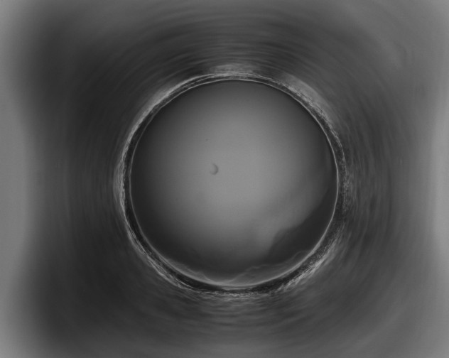 X0000097820941200803201435