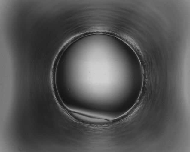 X0000097820942200803201435