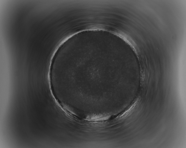 X0000097820943200803201435