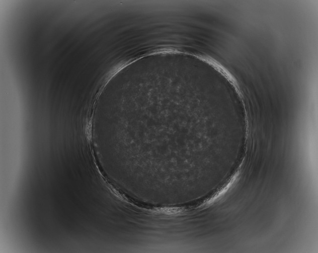 X0000097820953200803201435