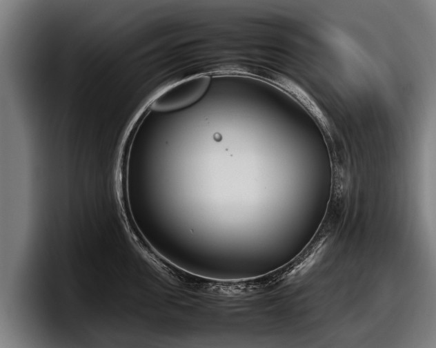 X0000097820955200803201435