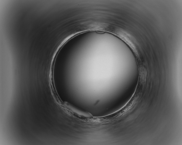 X0000097820956200803201435