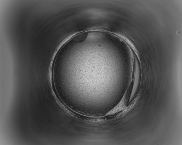 X0000097820957200803201435