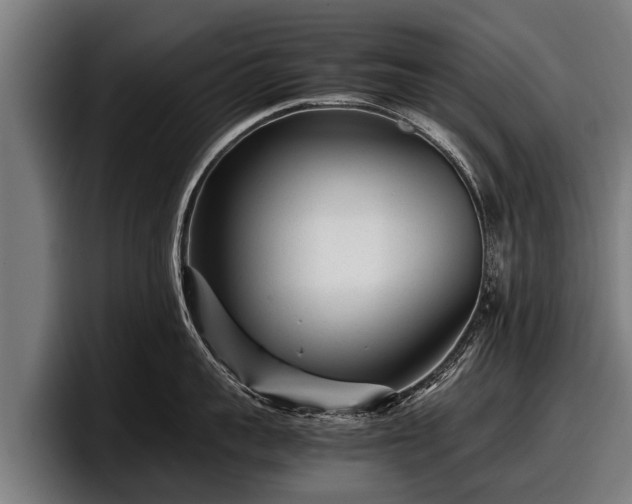 X0000097820959200803201435