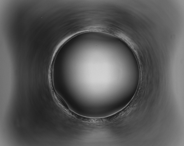 X0000097820960200803201435