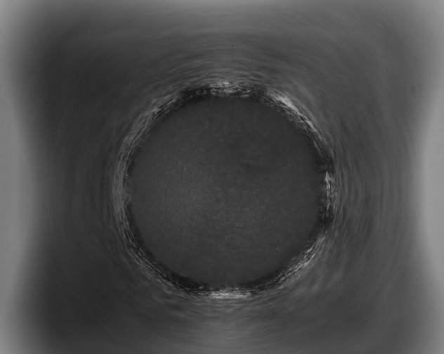 X0000097820961200803201434