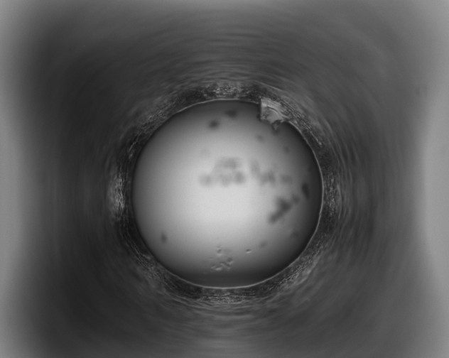 X0000097820962200803201434