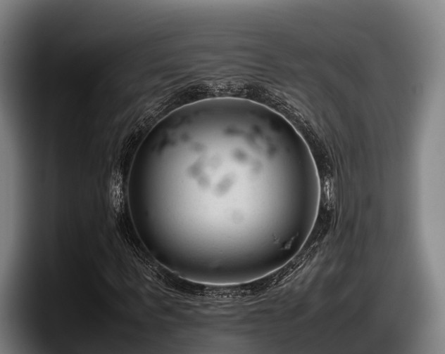 X0000097820963200803201434