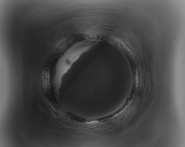 X0000097820964200803201434