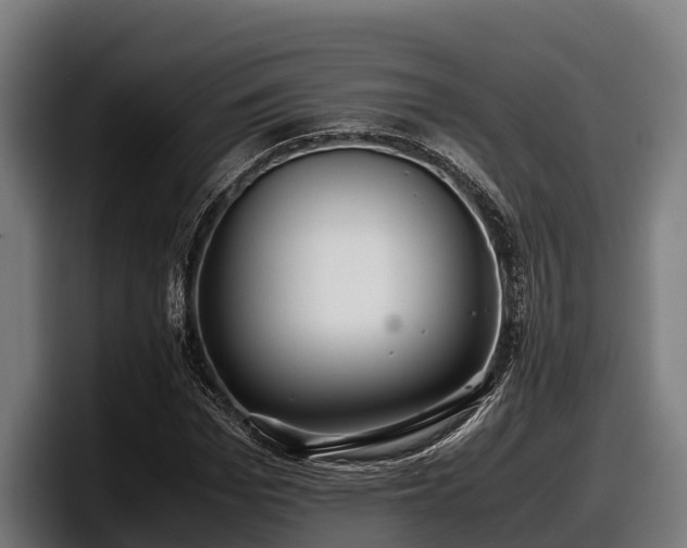 X0000097820969200803201434